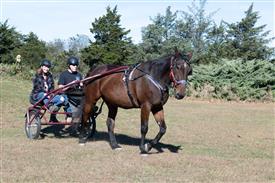 LR-WRF 10182025 Retreat-6468